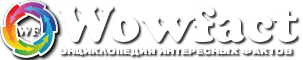 ВауФакт
