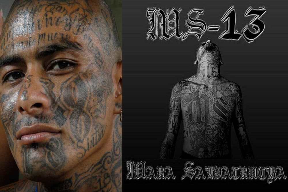 Интересные факты про Mara Salvatrucha - жестокость и криминальная империя