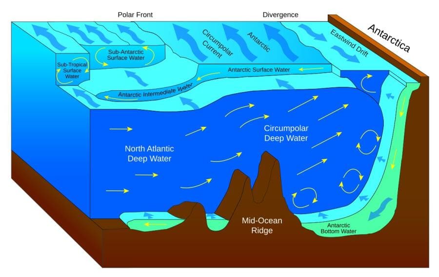 Интересные факты про Саргассово море - уникальный водоём без берегов Интересные факты про Саргассово море - уникальный водоём без берегов